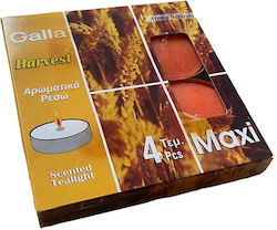 Αρωματικά Ρεσώ Maxi Harvest 4τμχ Galla