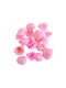 Decorative Small Clam Seashells 1kg Pink