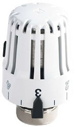 Thermostatic Head Pintossi Thermostatic Head Pintossi