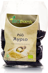 Bio Ρύζι Άγριο Καναδά 200gr Bio Ρύζι Άγριο Καναδά 200gr