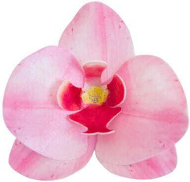 Rose Decor Βρώσιμα Διακοσμητικά Ροζ