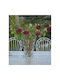 Vază Cristal Dungi 44x33 Cm