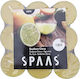 Aromatic Lime Tealight Up To 8 Hours Duration