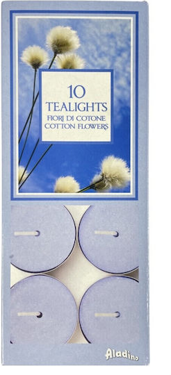 Aromatic Tealights 4 Hour Aladino Top Quality 10 Pieces Cotton