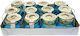 Durable Transfer Candle of Holy Light 20+ Hours...