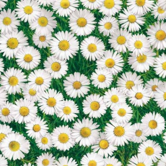 Photoprint702 Tarpaulin Tablecloth 1.40 X 1.40
