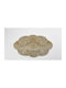 Bath Mat Abyss & Habidecor Kyoto 90x100 cm