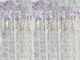 Party Curtain Holographic 100x200cm