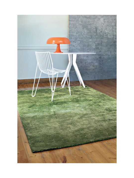 Covoare living Aslanis Aria Verde 160x230cm