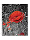 Ρόλερ Digital Print E458 Φ120xυ120