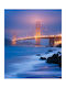 Digital Print Roller E251 Width 120cm Height 280cm