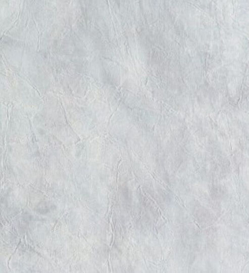 Tapete Vinyl L1005xB53cm 18571