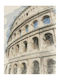Ρόλερ Digital Print E554 Φ100xυ120
