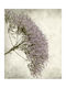 Digital Print Roller Blind E448 Width 100cm Height 140cm