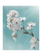 Ролет Digital Print E184 Ширина 120 Височина 160