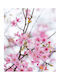 Ρόλερ Digital Print E456 Φ100xυ120