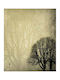 Digital Print E440 Rollos 100x100
