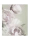 Ролет Digital Print E449 Ширина 180 Височина 280