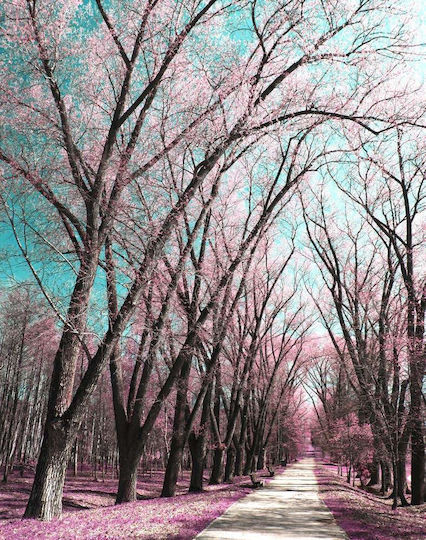 Ρόλερ Digital Print E215 Φ140xυ140
