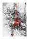 Ρόλερ Digital Print E267 Φ100xυ120