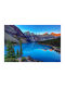 Digital Print Rollos E228 Breite 100xHöhe 160