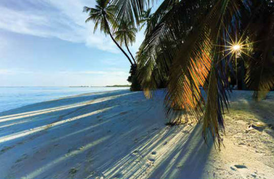 Ρόλερ Digital Print E485 Φ120xυ140