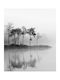 Ρόλερ Digital Print E387 Φ100xυ120