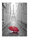 Ρόλερ Digital Print E245 Φ120xυ100