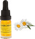 Kamille Aromatisches Öl 10ml