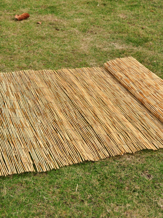 Jardi Καλαμωτή με Ολόκληρο Καλάμι 1.5x5m 14700986 Jardi Καλαμωτή με Ολόκληρο Καλάμι 1.5x5m 14700986