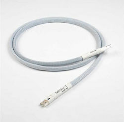 Chord Sarum T USB 1m