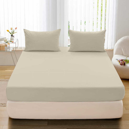 Cotton World Super-Doppel 160x200cm mit Gummizug Beige