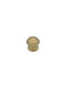 Saguatti Buton Ușa din față Polished Bronze
