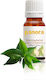 Tea Tree Essential Oil 20 Ml