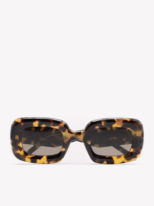 Kaleos Women's Sunglasses with Brown Tartaruga ...