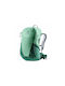 Deuter Bergsteigerrucksack 21Es Grün