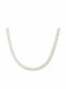 Fior Extra Chain Silver 8mm Neck Chain Stainless Steel 316l 55 Cm