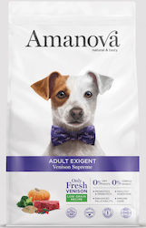 Amanova Exigent Amanova Exigent