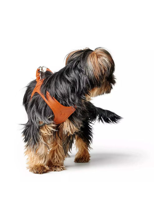 Hunter Σαμαράκι Σκύλου Δερμάτινο Harness X-Small / Small