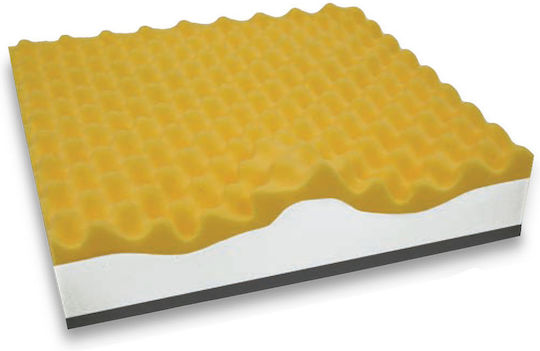 Composite Anatomical Seat Pillow Embossed Surface Viscoelastic Liquid Gel 44x44x9/8cm Capelli Kc504444