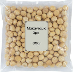 Nutsbox Μακαντάμια Ωμά 500gr
