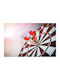 Digitaldruck Rollos E372 Breite 120 Höhe 100