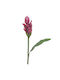 Διακοσμητικό Κλαδί-λουλούδι 3-85-246-0284 100cm Green-pink Inart Plastic