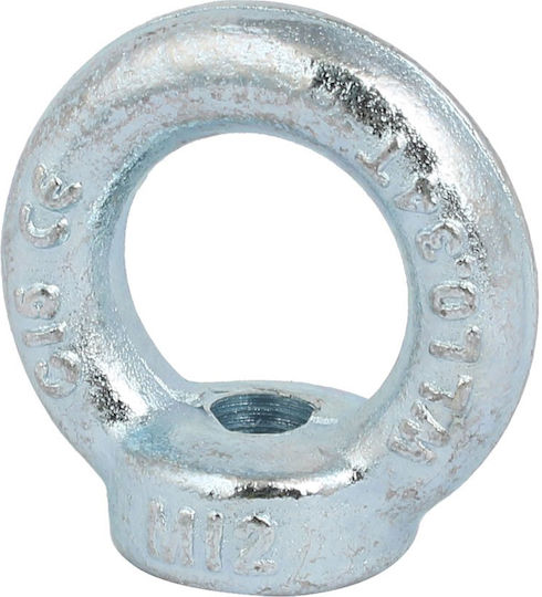 Pad Eye Female Lifting Ring Galvanized Din582 M18