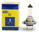 H4 Bulb 12v 60/55w