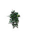 Spacegreen Artificial Hanging Ficus Lyrata Lunara Green 70 Cm