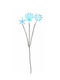 Jκ Home Décor Stick Scoică Stea Primăvară