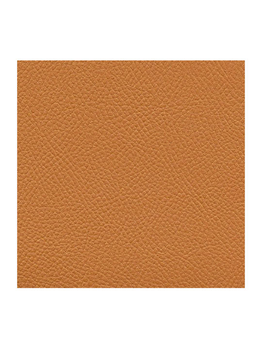 Jgs S.a Artificial Leather for Furniture Tan 06 140cm Width 1m