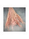 Gypsophila Pink Bouquet 60gr 70cm L120r Rin-l120r