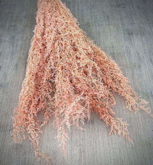Gipsophylla Rosa Blumenstrauß 60gr 70cm Λ120ρ Rin-l120r